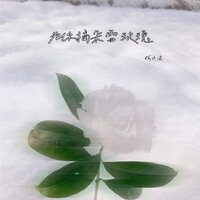 为你摘朵雪玫瑰 - 何欢浪