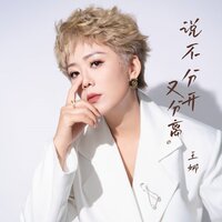 说不分开又离去 - 王娜