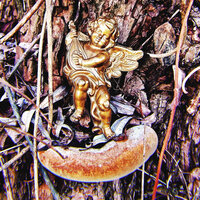 Rise! Now! - Kæńøoh