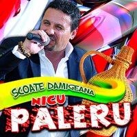 Nevasta Iar Ma Cearta - Nicu Paleru