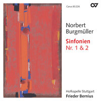 Symphony No. 2 in D Major, Op. 11: II. Andante - Hofkapelle Stuttgart & Frieder Bernius