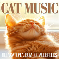 Cat Nap Music for Daytime Rest - RelaxMyCat & Cat Music Dreams & Cat Music Zone