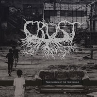 Few Last Drops of Trust - Crust