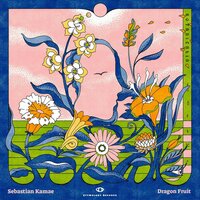 Dragon Fruit - Sebastian Kamae & Etymology Records