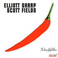 Fried Splash - Elliott Sharp & Scott Fields