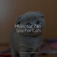 Sandy Shore - Music for Pets Library & Pet Care Club & Music for Cats TA