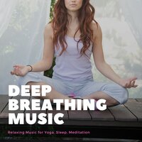 Meditate with Music - Instrumental Relaxation