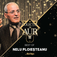 Vrei Sa Ne-Ntalnim Sambata Seara - Nelu Ploiesteanu