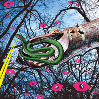 M's Funk - Miro Pajic