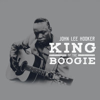 Don't Look Back - John Lee Hooker & Van Morrison