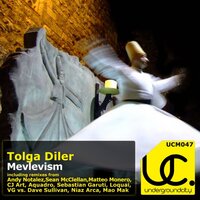 Mevlevism - Tolga Diler & Aquadro