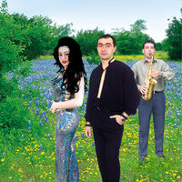 Astăzi Vrem Să Petrecem - Simi Deac & Luminita Puscas