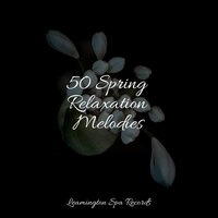 Unwind - Sleeping Baby Songs & Rain Sound Studio & Alpha Brain Waves