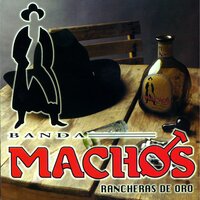 Ingratos Ojos Mios - Banda Machos