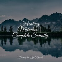 Calm Spa Music - Study Music & Sounds & Academia de Música para Massagem e Relaxamento & Thunder Storm