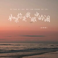 如果你是我眼中的泪 - 恋特特 & DJ越鑫