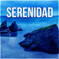 Musica Reiki - Academia de Música para el Alma