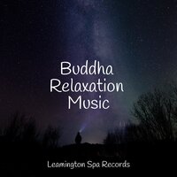 Meandering Stream - Nature Sound Collection & Schlaflieder Für Kinder & Musica relajante