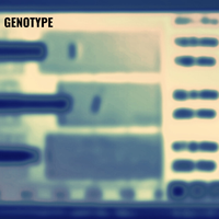 Alrite - Genotype