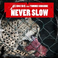 Never Slow - Acidkids & Tommie Sunshine & Sharkslayer