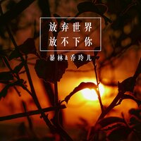 放弃世界放不下你 - 暴林