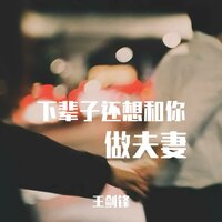 下辈子还想和你做夫妻 - 王剑锋 & 德朋