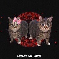 OIIAOIIA CAT PHONK - Karry_b & Ashris & Daciva & Tidiet & MEME Phonk