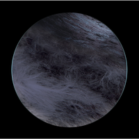 Nobody Knows The Way - Ness