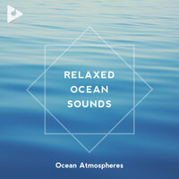 Wet Sands - Ocean Atmospheres & Calm Ocean Sounds