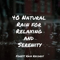 Forest, Morning,Calm,Birds - Forest Soundscapes & Asmr Sleep Sounds & Active Baby Music Workshop