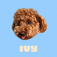 Special Treat - Smuv