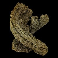 Symmetry - Max Cooper & Tom Hodge