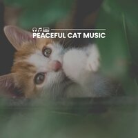 Soothing Melodies to Calm Your Cat, Pt. 7 - Music For Cats Peace