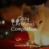 A Christmas Miracle - Christmas Party Dj & Xmas Time & Christian Christmas Songs Orchestra