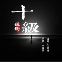十级孤独 - 王超然