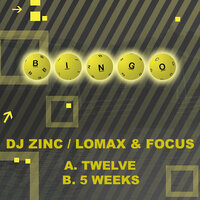Twelve - DJ Zinc