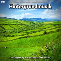 Hintergrundmusik pt. 5 - Entspannungsmusik zum Einschlafen & Schlafmusik & Entspannungsmusik