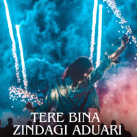 Tere Bina Zindagi Aduari - Harry