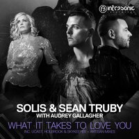 What It Takes To Love You - Solis & Audrey Gallagher & Artisan