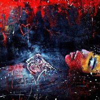 The Angel's Fall - Andromeda Anarchia