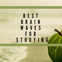 Best Brain Waves for Studying - Brainwaves Mike