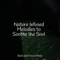 Starlight - Música Zen Relaxante & Study Music & Alpha Waves