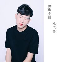 再也不见 - 小飞哥