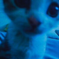 effloresce - nleave & iseethesky