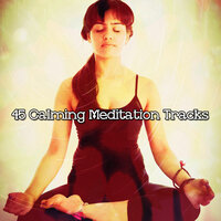 Brief Enclosing Peace - Yoga Workout Music