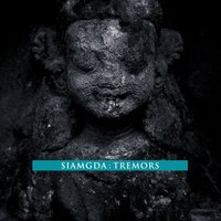 Burning Sarees - Siamgda