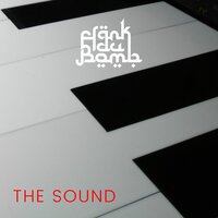 Never Say Never - Frank Du Bomb