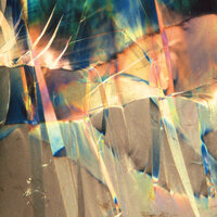 The Elite - Tommaso Cappellato & Jaimie Branch & Val Jeanty