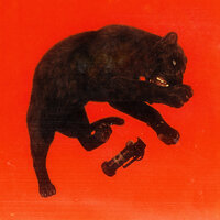 Renaissance Man - Jay Park & Hit-Boy