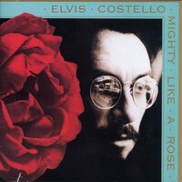 Sweet Pear - Elvis Costello & The Dirty Dozen Brass Band